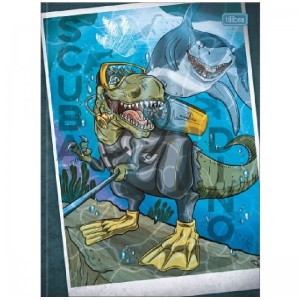 CADERNO BROCHURA CD UNIV RAPTOR 80 FLS TILIBRA