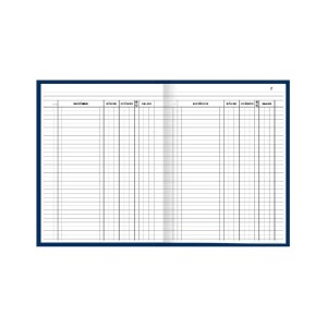 LIVRO CONTA CORRENTE 1/4 100FLS TAMOIO